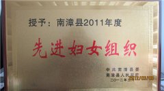 2011年度先进妇女组织