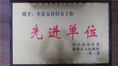 2013年支持妇女工作先进单位